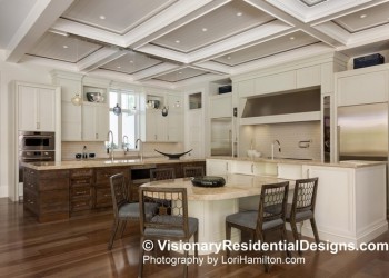 16 TRANSITIONAL VISIONARY RESIDENTIAL DESIGNS KATELYNN KITCHEN 02